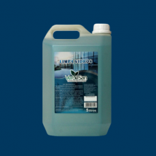 Limpa Vidros Verdesan 5L